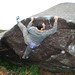 Sannox Blocs NR997493S John watson on the lip traverse