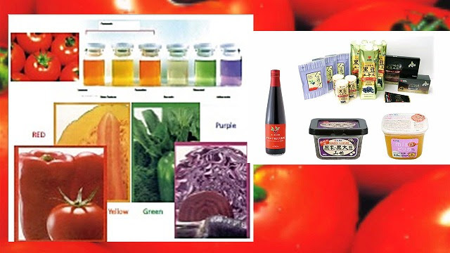 健康にかかせない野菜パワー 抗酸化 研究を学ぶ 摂南大 農学セミナーレポート ほとんど0円大学