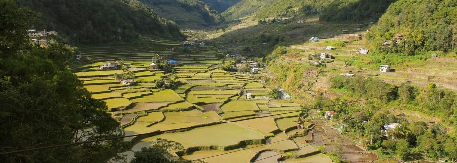 Giahs 全球重要农业文化遗产 联合国粮食及农业组织 Food And Agriculture Organization Of The United Nations