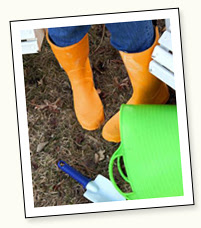 Yellow Wellies