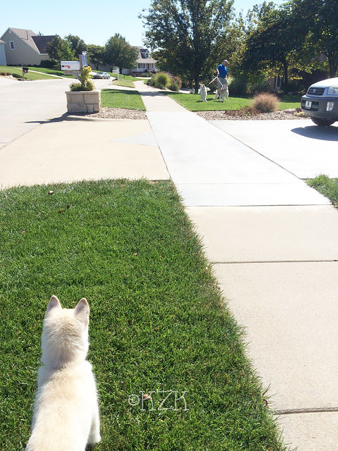 IMG_0595MagCamZimMike