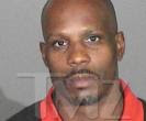 DMX-tra Mug Shot