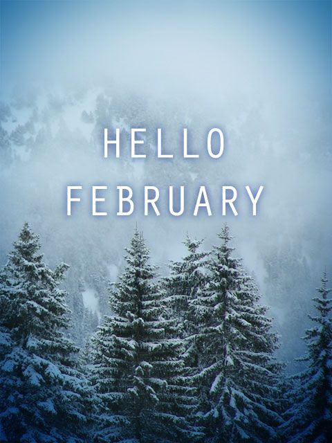 Winter Tree Hello February Image Pictures, Photos, and 