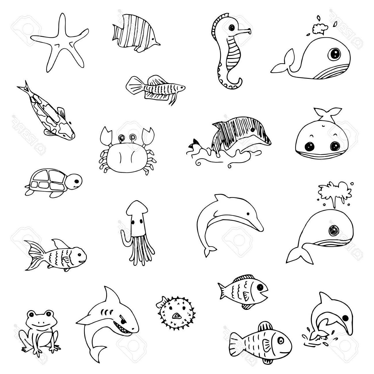 Aquatic Drawing at GetDrawings Free download