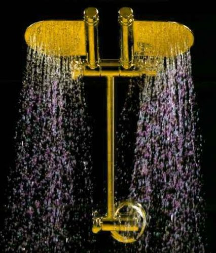 Dual Paddle Butterfly Rain Shower Head PVD Titanium Gold