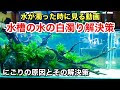 [最も共有された！ √] 水�� 立ち上げ 濁り 351587-水槽 立ち上げ 濁り ソイル