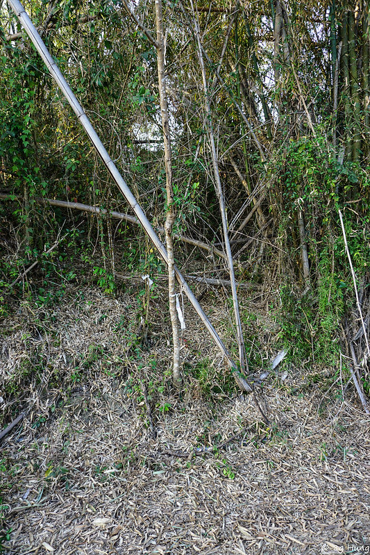 DSC06639