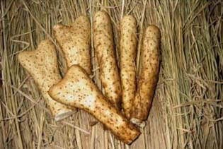 やまと芋豆辞典