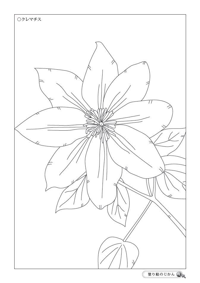7月の花ぬりえ 塗り絵のじかん