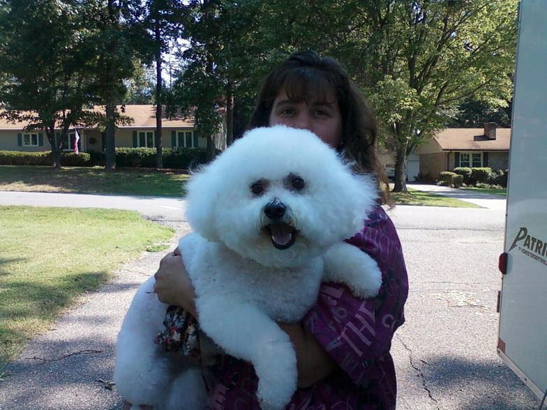 Big Paws Mobile Pet Grooming Llc