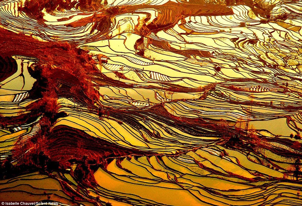 Las terrazas de arroz de Yuanyang, en China