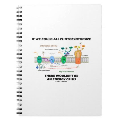 If We Could All Photosynthesize Wouldn't Be Energy Notebooks