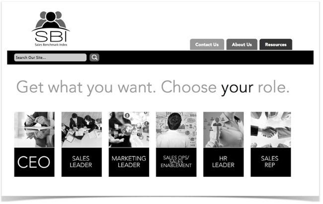 sbi-choose-your-role