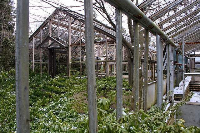 Greenhouse with envy