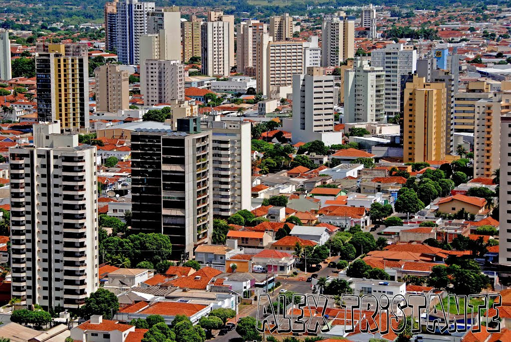 Imagem Região Central de Araçatuba