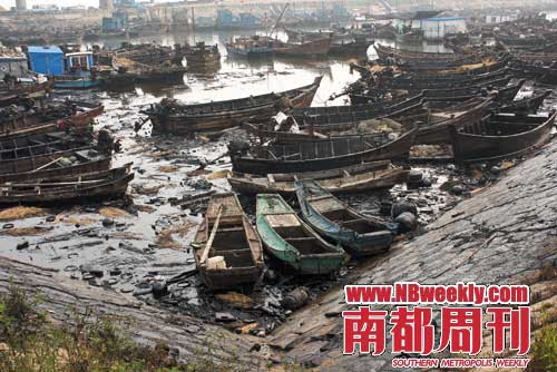 大连漏油事件赔偿未启动渔民捞油日收入十余万