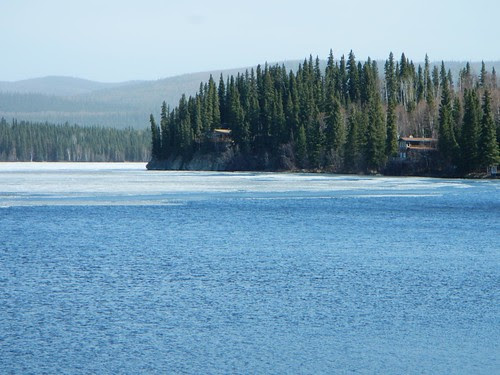 Everyday for 7 Weeks - Day 14 - Tok to Fairbanks