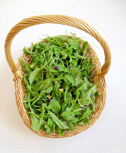 neighborly basket of arugala