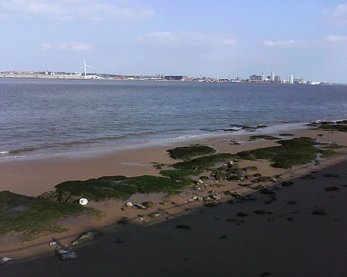 DSC02274
