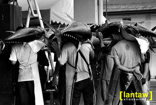 Weighing Queue 2