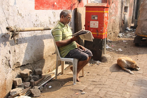 the dog is much happier not reading the daily news by firoze shakir photographerno1