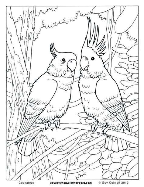  free printable realistic animal coloring pages at getdrawings free