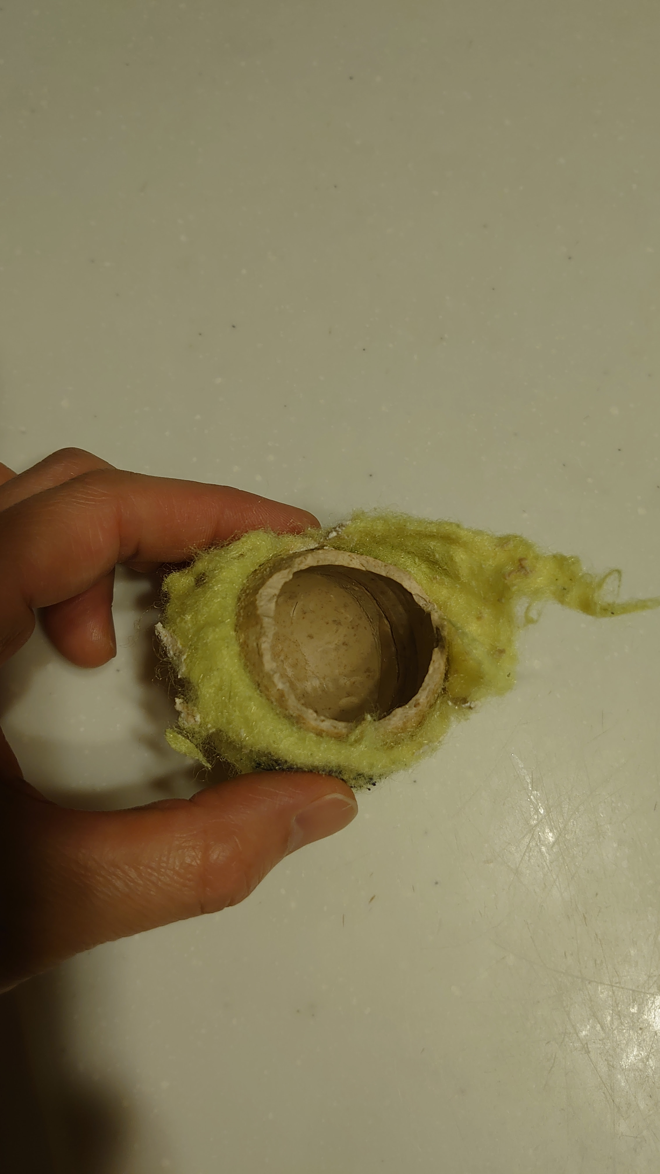 異物を誤飲したときの対処について お家の中にあるもの編 犬 みんなのどうぶつ病気大百科