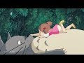 メイ トトロ いた もん 430039