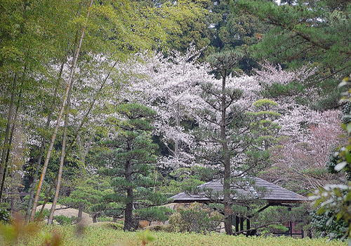 千葉県花植木センター