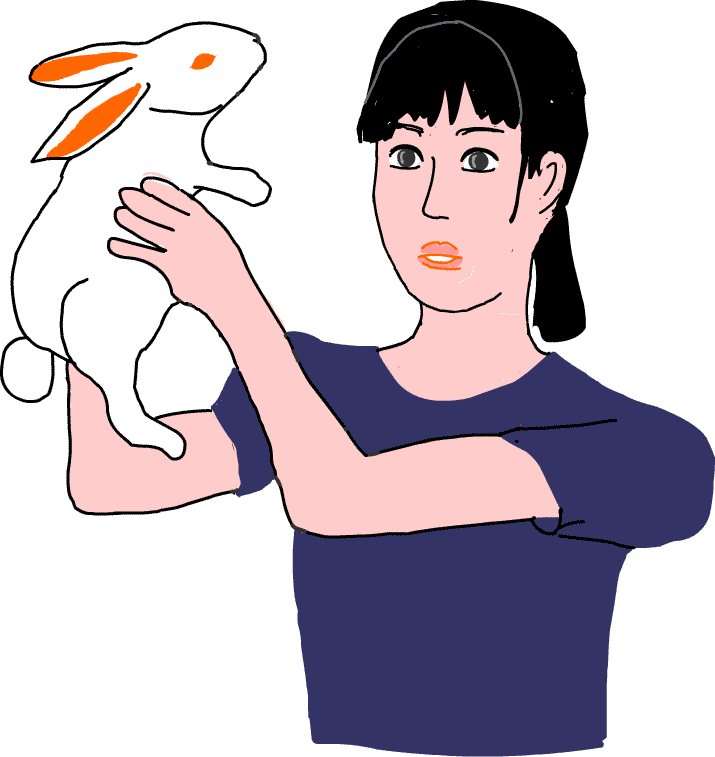 ウサギ 兎 イラスト 無料