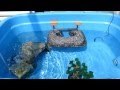 [10000ダウンロード済み√] ��� 水槽 大きい 160846-亀 水�� 大きい