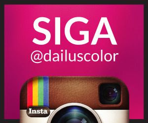 Siga Dailus Color