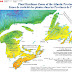 Hardiness Zone 6A / Each gardening zone is divided into two subsets;