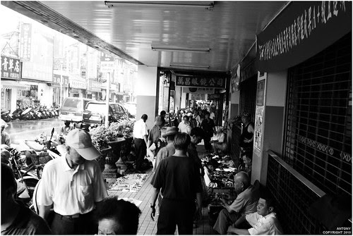 你拍攝的 P1000691。