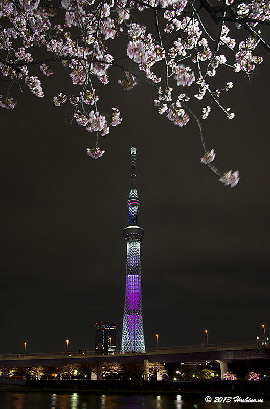 東京スカイツリー桜特別ライティング ほしのつぶやき