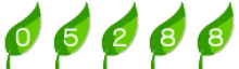 web page visit counter