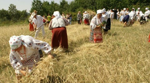 Саудиты рассматривают сельхозпроекты на Украине