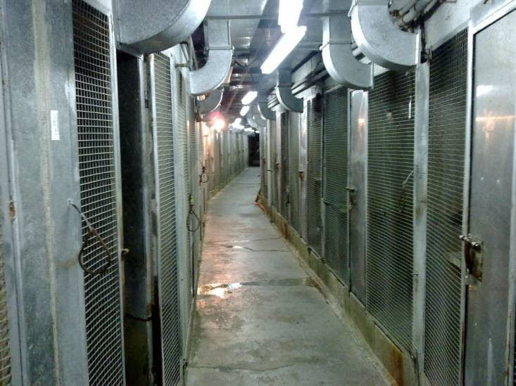 El guantánamo animal oculto del zoo de Barcelona