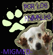 Ayudando a los animales