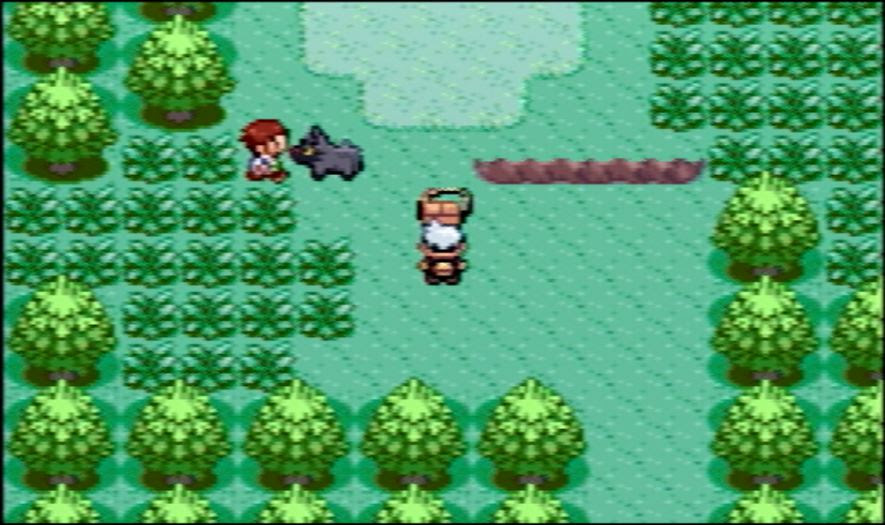 ルビーサファイア Rta用ミズゴロウ乱数調整 やんちゃ 24 27 10 31 31 30