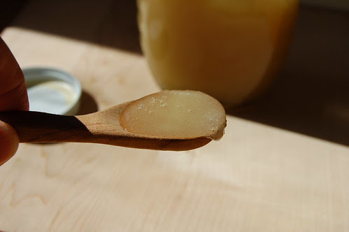 Maple Sugar by Eve Fox, Garden of Eating Blog, copyright 2011