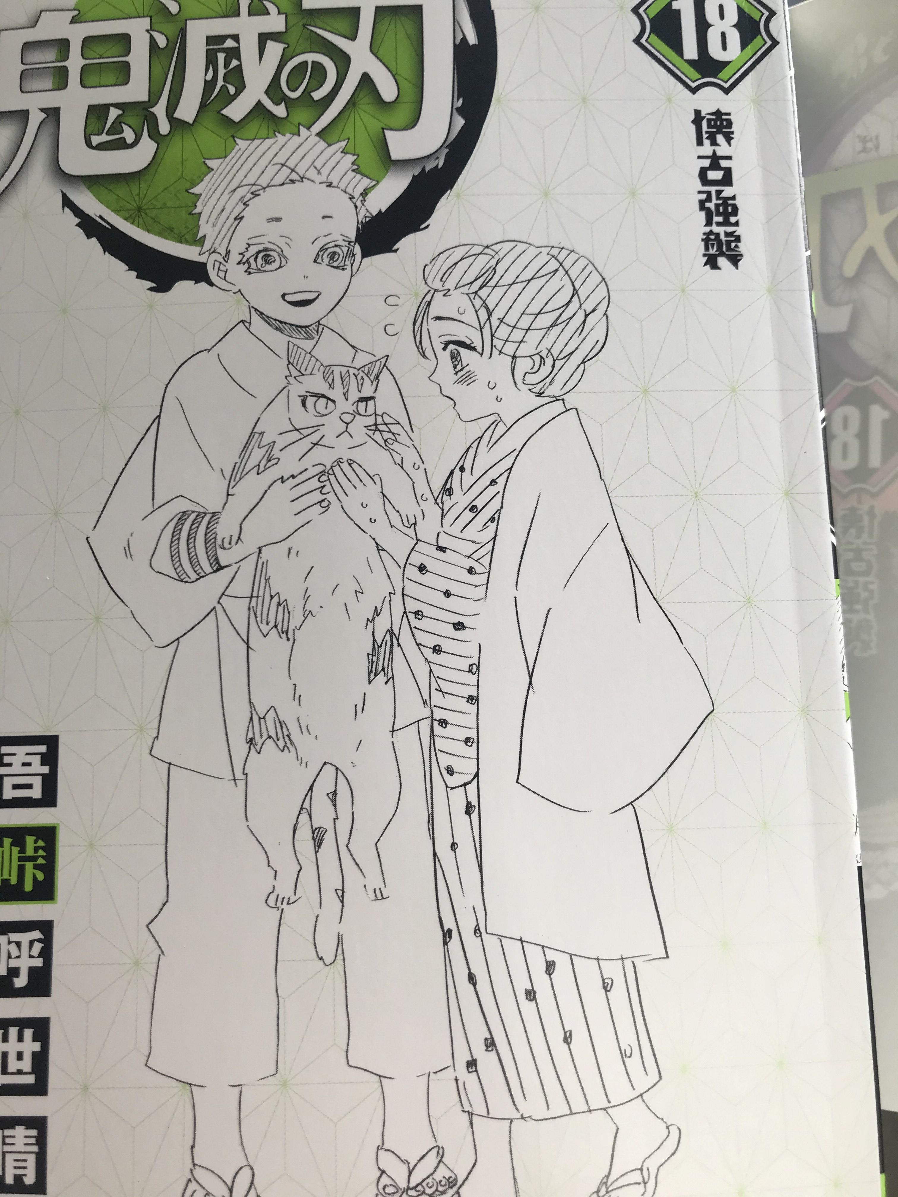 鬼滅の刃 18巻作者コメ こんなことになると思わなかった カバー裏はあの二人 ねいろ速報さん