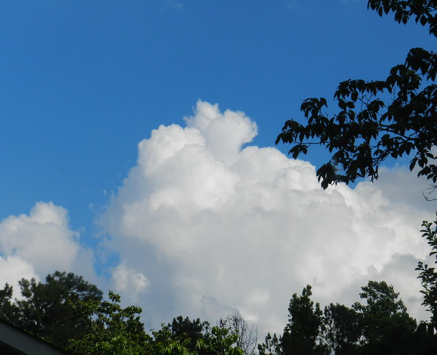 skywatcDSCN2063