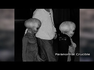 Best Ever Alien Evidence Released? / Evidencias de vida Extraterreste en la Tierra