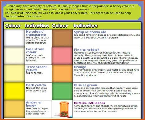  urine color chart what color is normal what does it mean urine colors