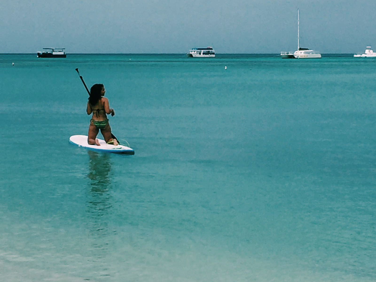 Soul Beach Music Festival Brown Lady Travels The 19th annual soul beach music festival will offer a unique combination of excitement and sophistication nestled in an intimate setting, all on the beautiful island of aruba. brown lady travels