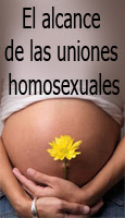 El alcance de las uniones homosexuales