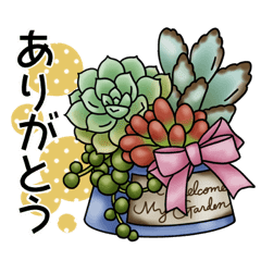 かわいい多肉植物2 Lineスタンプ ゆっしの多肉植物