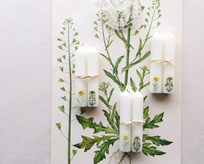 ハハコグサとナズナの花言葉のろうそく ろうそく 梅原 亜希乃