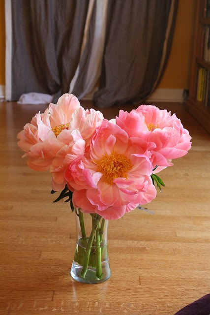 Peonies